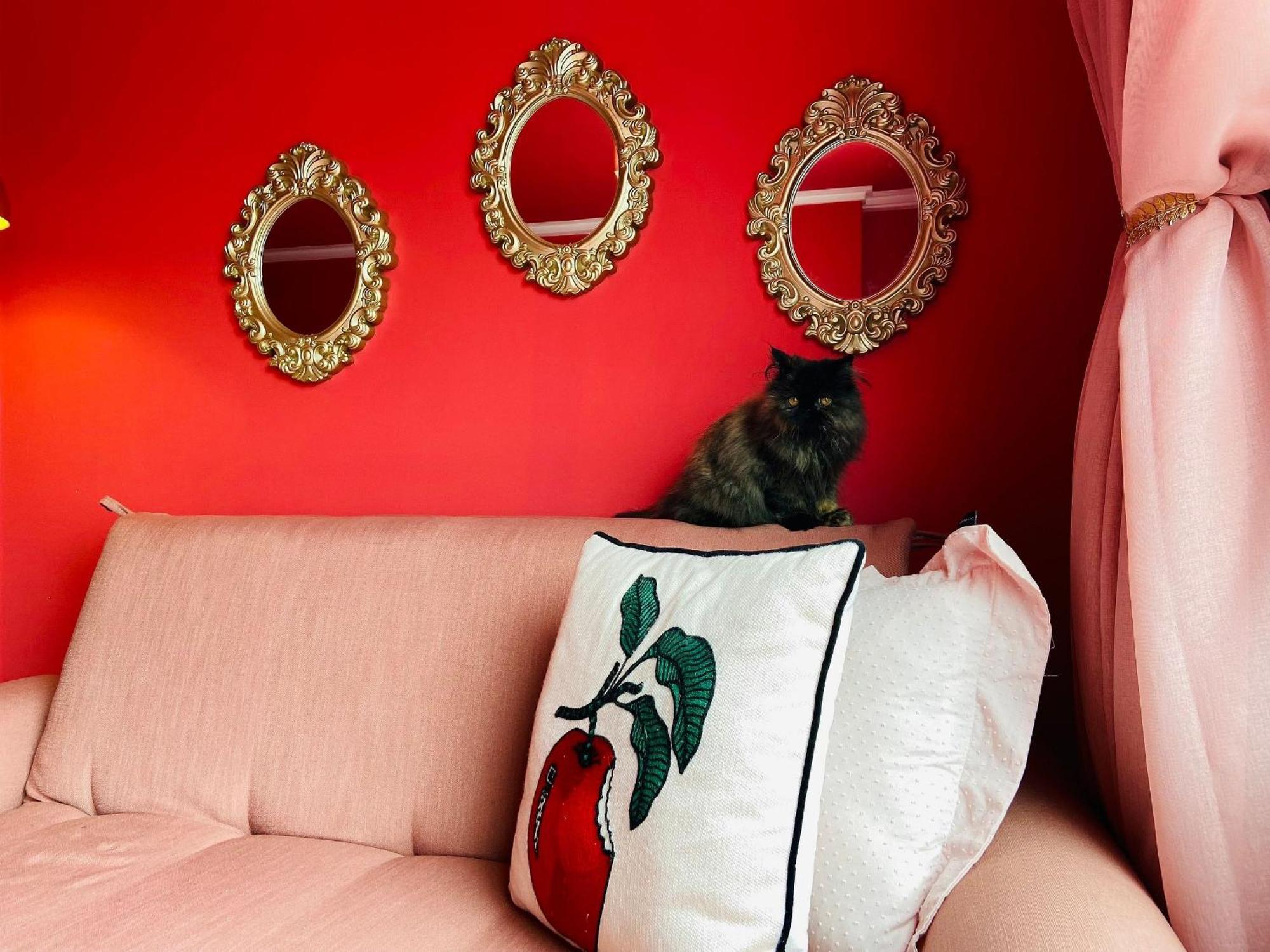 O Rosa Apartamento João Pessoa